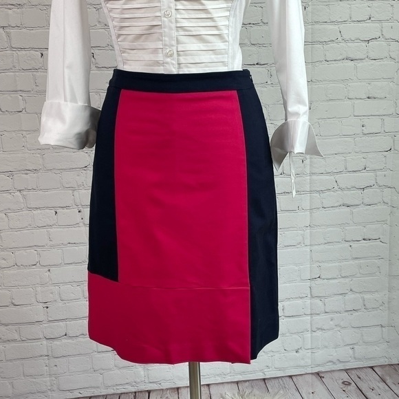 Nic+Zoe Blue/Pink Color Block Side Zip Skirt Sz 8 - Picture 2 of 9